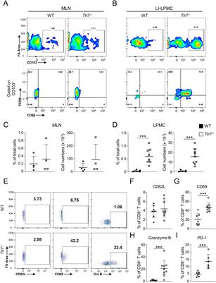 Toll-like receptor 7 protects against intestinal inflammation and restricts the development of colonic tissue-resident memory CD8+ T cells